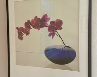 Framed Artwork