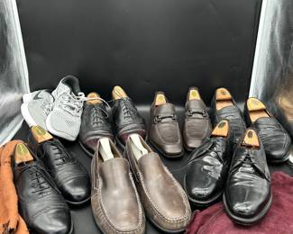 Size 9.5 shoes Nikes and lawyer dress professional