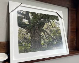 Large quantities available!