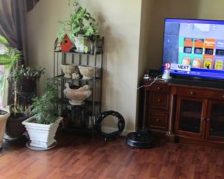 plants, television, TV stand