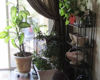 plants and metal rack