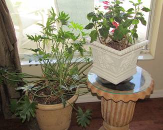 plants and table