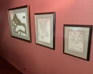 Assorted framed maps from around the region and world