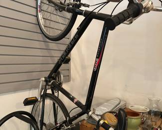 Trek bike
