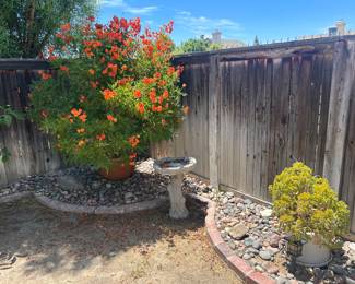 PLant/ Bird Bath