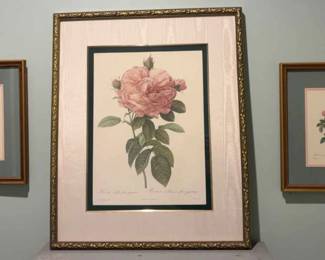 Three Framed Prints Of Rose by PierreJoseph Redout