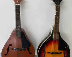 071 Mandolin Duo
