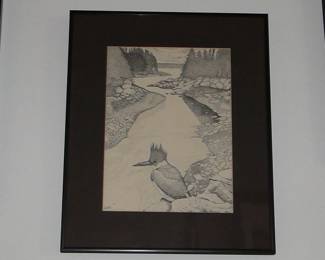 Bird Drawing