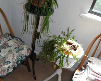 Plant stands
