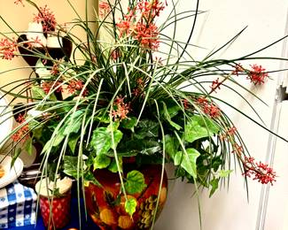 Custom country arrangement