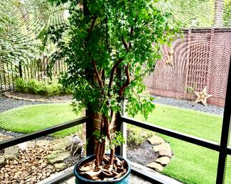 Silk tree in large ceramic pot