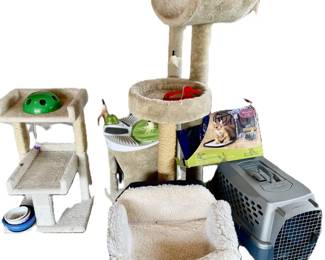 018-GAR: Cat Lot