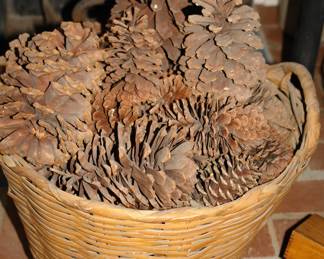 basket of large pine cones