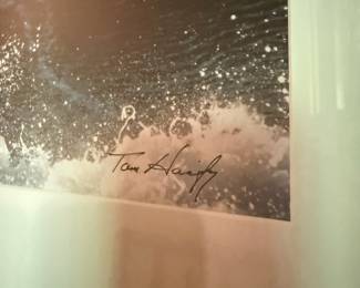 Framed & Matted Seagull Photography Print by Tom Hanify
