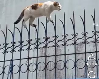 Bravery —-