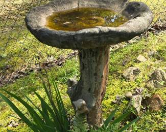 Concrete bird bath