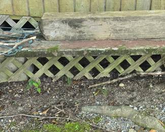 Primitive bench
