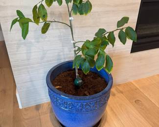 Ceramic pot