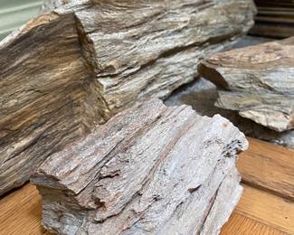 Petrified Wood