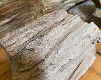 Petrified Wood