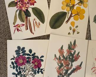 Postcards
