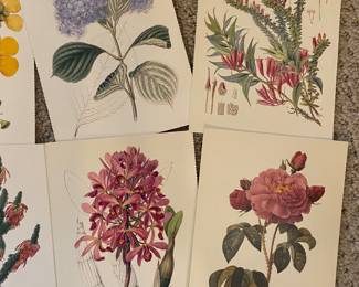 Postcards