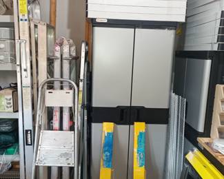 Ladders and garage storage