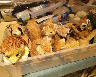 Squirrels, hedgehogs and foxes!