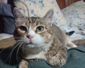 Oh look, she woke up!
