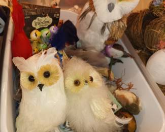Owls!