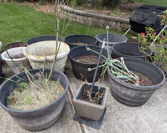 pots and planters