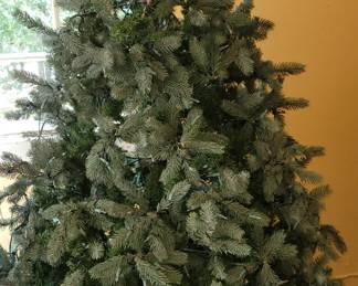 Seven and a half foot just cut natural Spruce Christmas tree lighted