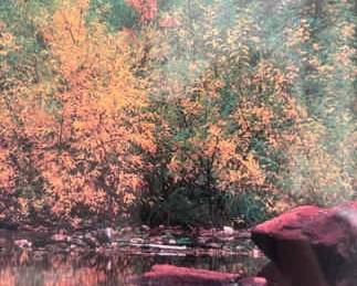 Fall Cliffs By Lonnie Brock, Nbrd