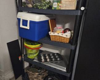 Black plastic shelving in garage $30 each. I believe there are five shelves and a retail for well over $60 each