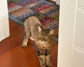 Home has security, no funny business!