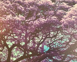 #18 - $50 - Purple tree modern canvas 29x59