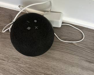 #79 - $100 - Alexa Echo 4th Gen 2 - modules