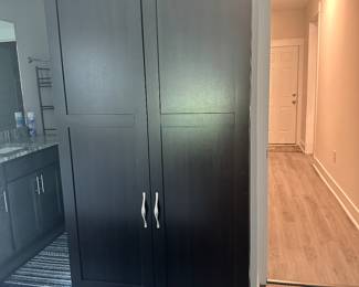 #30 - $100 - Linen cabinet or any use 71Tx30Wx16W