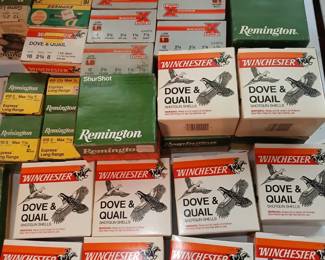 Shotgun and rifle ammo