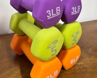 Exercise weights