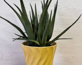 Los Angeles Pottery planter