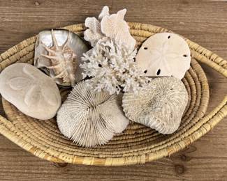 Basket of sea Treasures