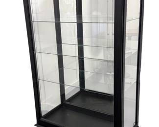 Display Cabinet Door slides both ways