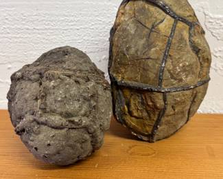 Turtle Rock / Septarian Nodule