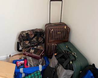 Luggage and travel bags