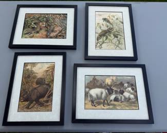 Vintage animal prints