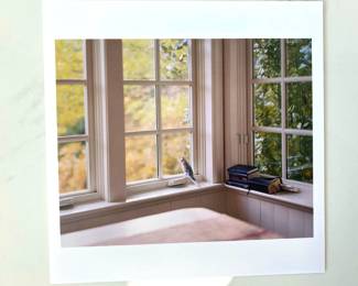 Lot 980 Alec Soth Cammys View Color Print Magnum Art Photograph