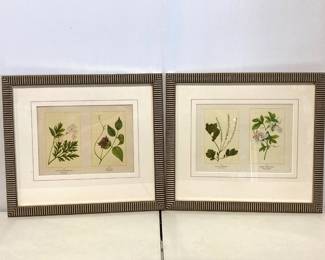 Lot 4310 Botanical Prints Wall Art Pair
