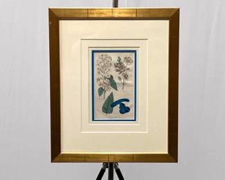 Lot 4314 Botanical Print Wall Art Mallow Verbena Salvia