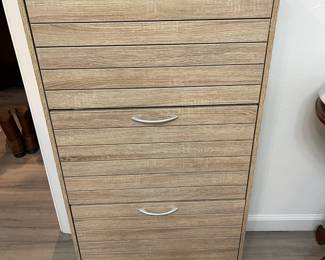 Shoe storage cupboard in the Master bathroom